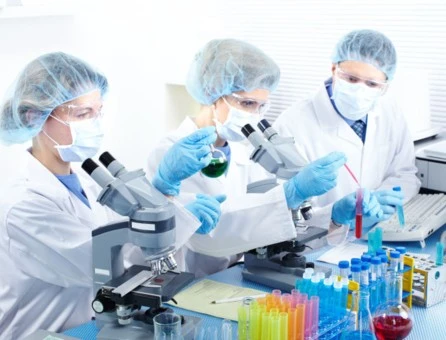 investigaci&oacute;n cient&iacute;fica