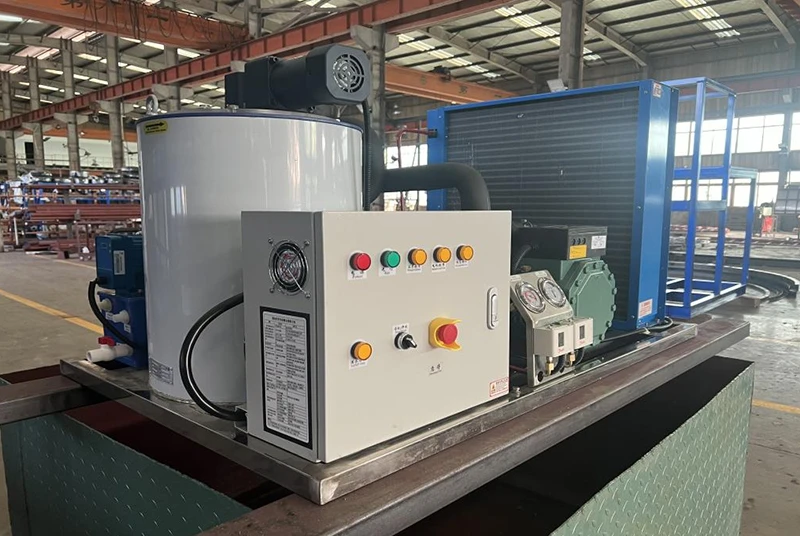 Hielo en escamas de 1 tonelada M&aacute;quina con compresor Bitzer y sala de almacenamiento de hielo de 1000 kg: Kenia