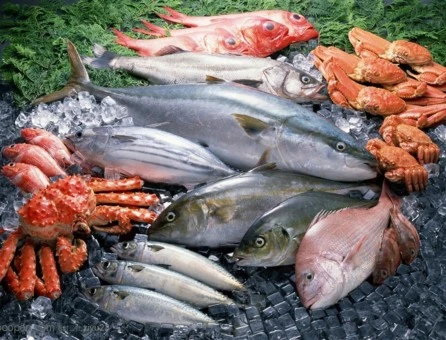 Conservaci&oacute;n de alimentos