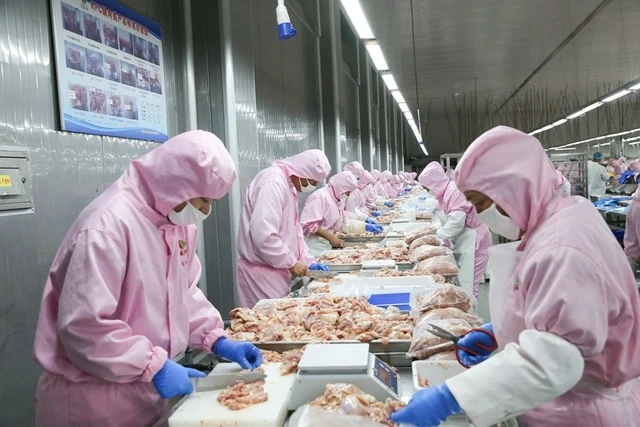 Procesamiento de carne